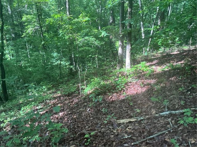 0 Mountain Brook Road, Dawsonville, GA 30534