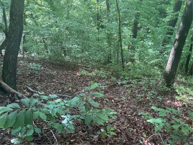 0 Mountain Brook Road, Dawsonville, GA 30534