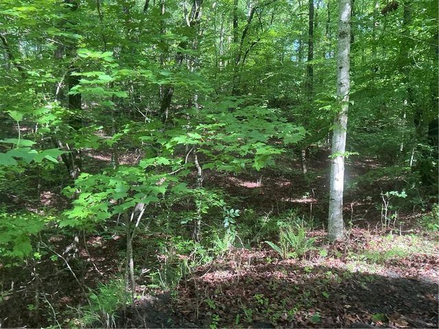 0 Mountain Brook Road, Dawsonville, GA 30534
