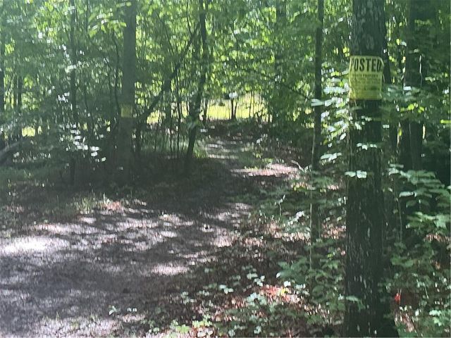 0 Mountain Brook Road, Dawsonville, GA 30534