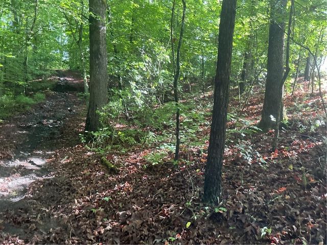 0 Mountain Brook Road, Dawsonville, GA 30534