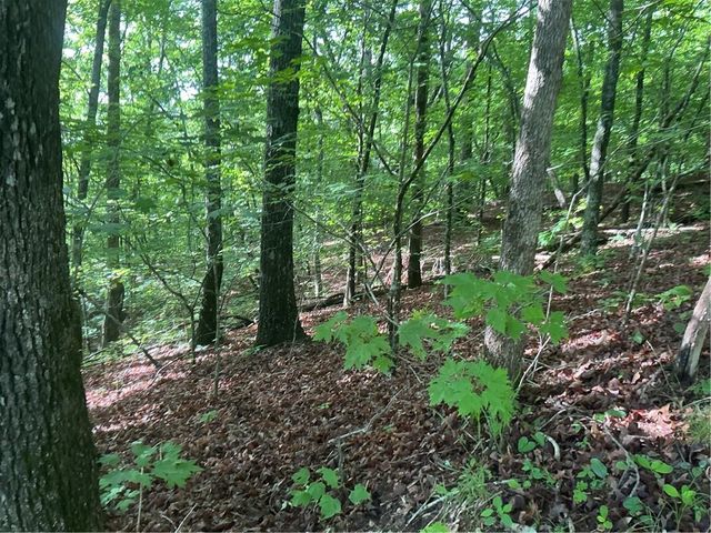 0 Mountain Brook Road, Dawsonville, GA 30534