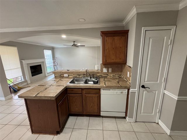 11727 Rolling Stream Drive, Tomball, TX 77375