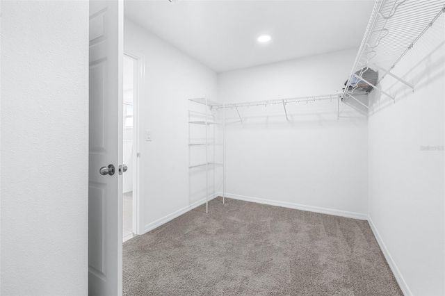 5246 CURRANT STREET, Lakeland, FL 33811