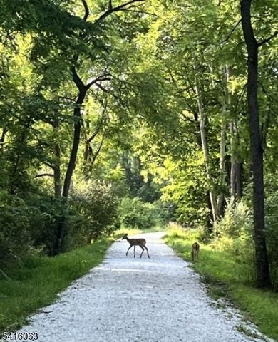 24 W Main St, Clinton Town, NJ 08809