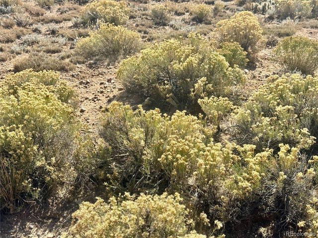 lot 3 S 9th Street, Blanca, CO 81123