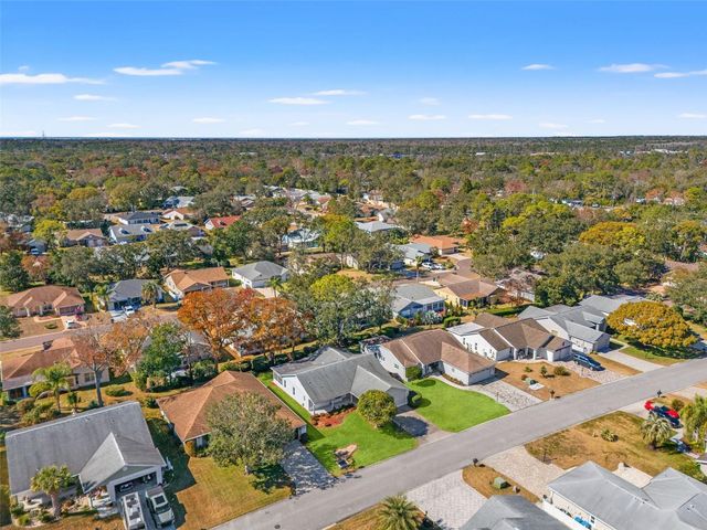 3119 SAW MILL LANE, Spring Hill, FL 34606