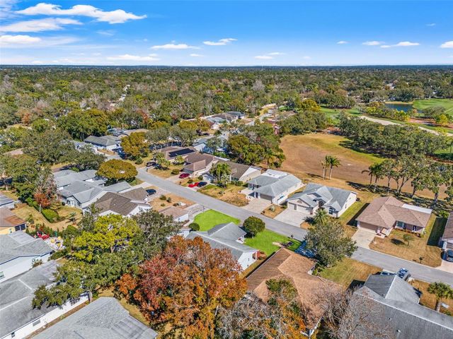 3119 SAW MILL LANE, Spring Hill, FL 34606