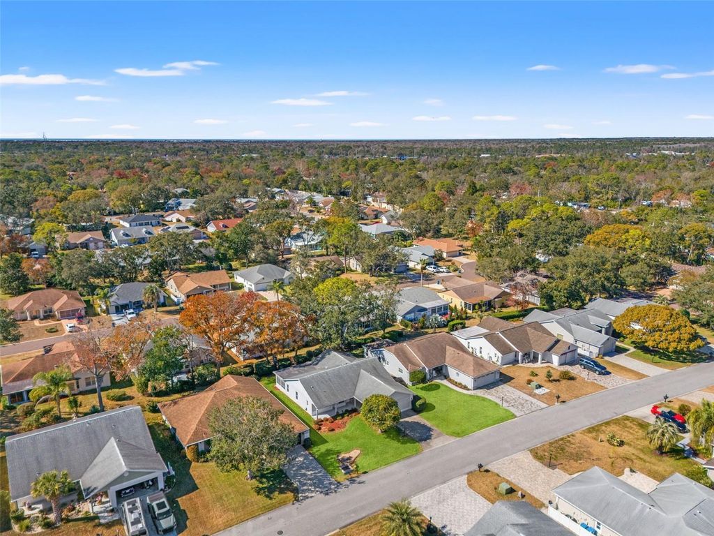 Image 48 of property listing at 3119 SAW MILL LANE, Spring Hill, FL 34606