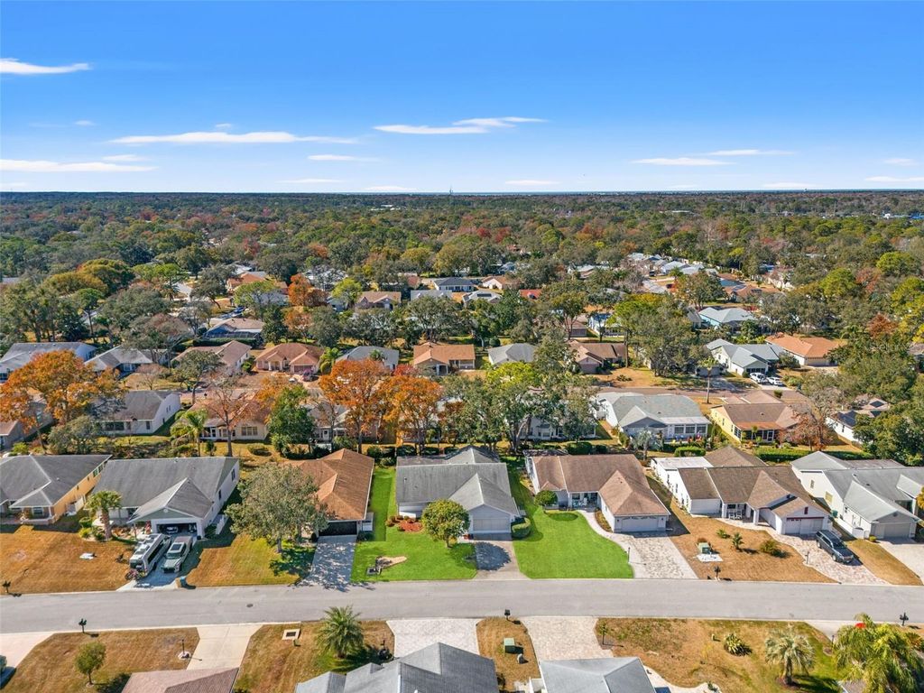 Image 49 of property listing at 3119 SAW MILL LANE, Spring Hill, FL 34606