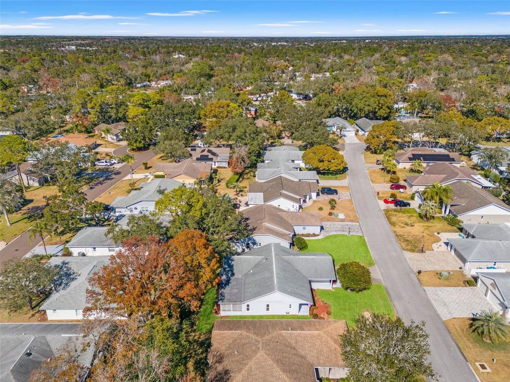 Image 51 of property listing at 3119 SAW MILL LANE, Spring Hill, FL 34606