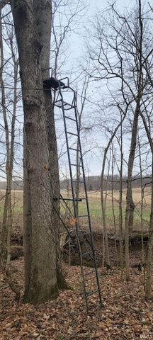 15850 Witt Road, Shoals, IN 47581