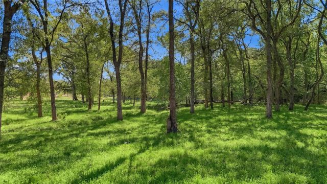 000 CR 1245, Savoy, TX 75479