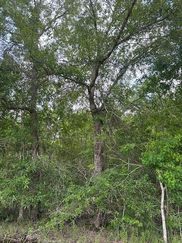 TBD 8 County Road 2223-B, Cleveland, TX 77327