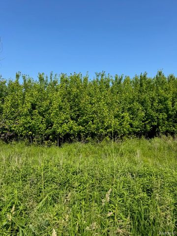 0001 Duquette Road, Speaker Township, MI 48466