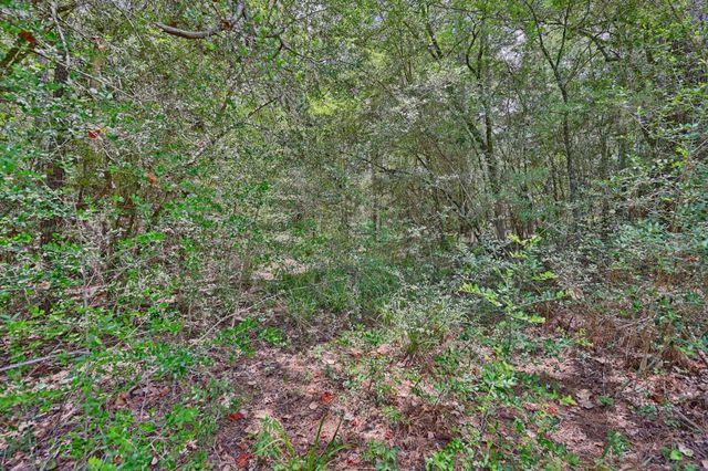 16893 Whippoorwill Road, Navasota, TX 77868