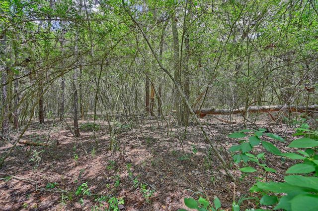 16893 Whippoorwill Road, Navasota, TX 77868