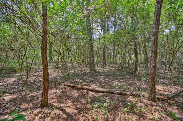 16893 Whippoorwill Road, Navasota, TX 77868