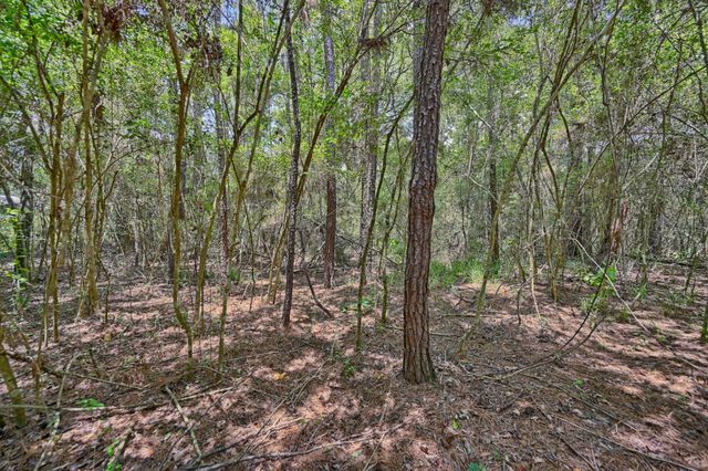 16893 Whippoorwill Road, Navasota, TX 77868