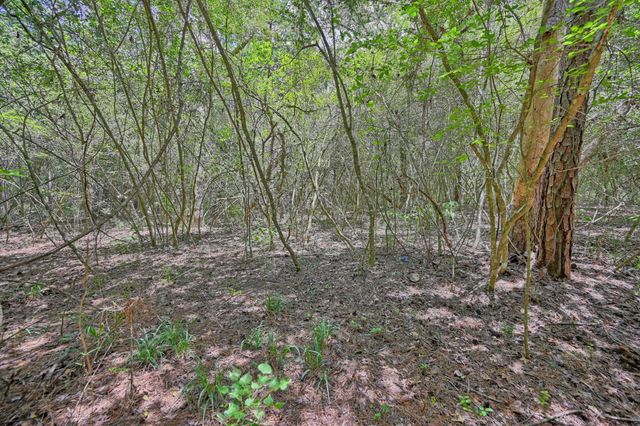 16893 Whippoorwill Road, Navasota, TX 77868