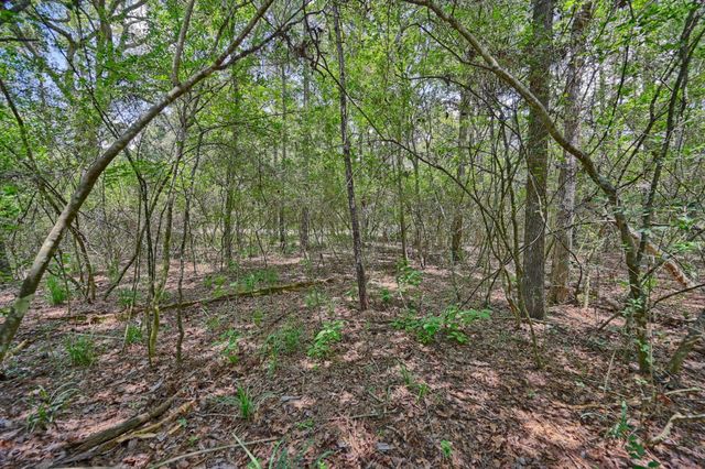 16893 Whippoorwill Road, Navasota, TX 77868