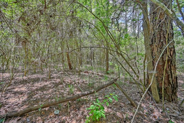 16893 Whippoorwill Road, Navasota, TX 77868