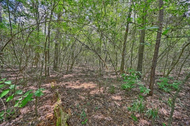 16893 Whippoorwill Road, Navasota, TX 77868