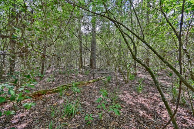 16893 Whippoorwill Road, Navasota, TX 77868