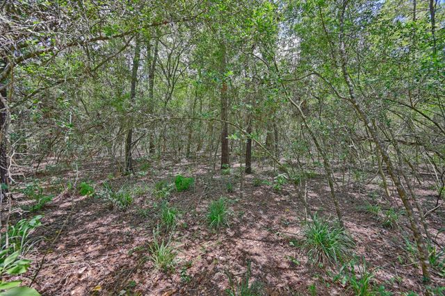 16893 Whippoorwill Road, Navasota, TX 77868