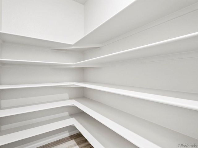 1691 Yampa River Dr, Windsor, CO 80550