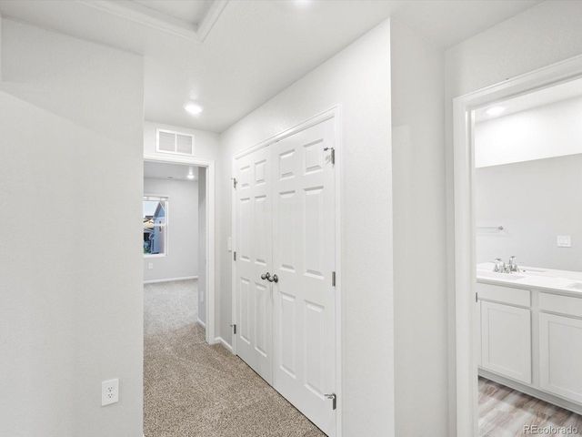 1691 Yampa River Dr, Windsor, CO 80550