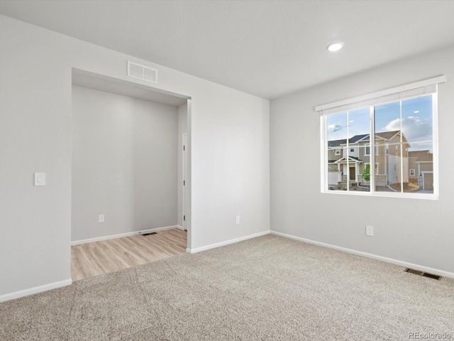 1691 Yampa River Dr, Windsor, CO 80550