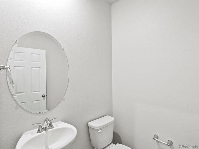 1691 Yampa River Dr, Windsor, CO 80550