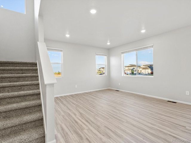 1691 Yampa River Dr, Windsor, CO 80550