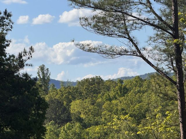 Lot 2 Grassy Creek Road, Copperhill, TN 37317
