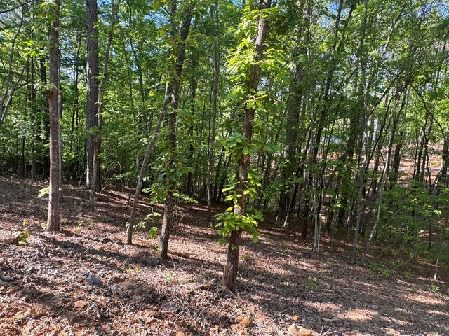 Lot 2 Grassy Creek Road, Copperhill, TN 37317