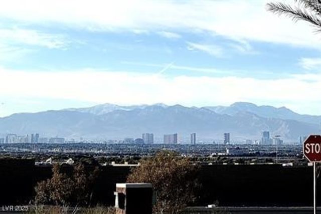 206 Callen Falls Avenue 1511, Henderson, NV 89011