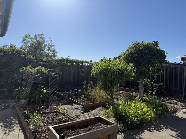 441 Clogston Court, San Jose, CA 95133