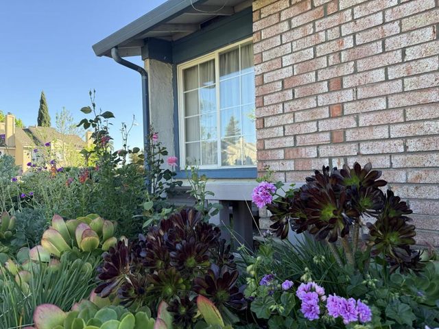 441 Clogston Court, San Jose, CA 95133