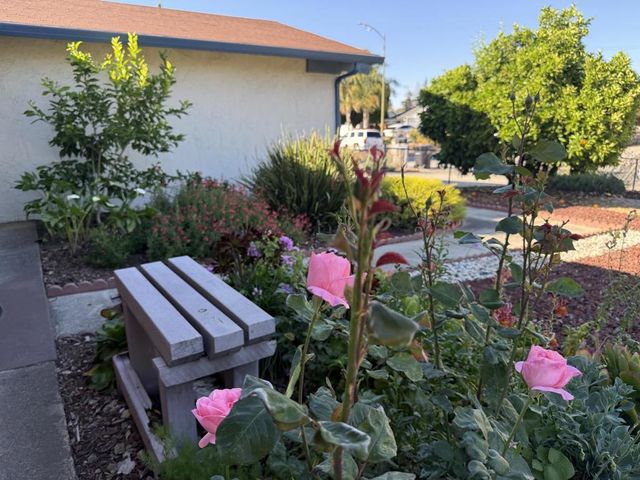 441 Clogston Court, San Jose, CA 95133