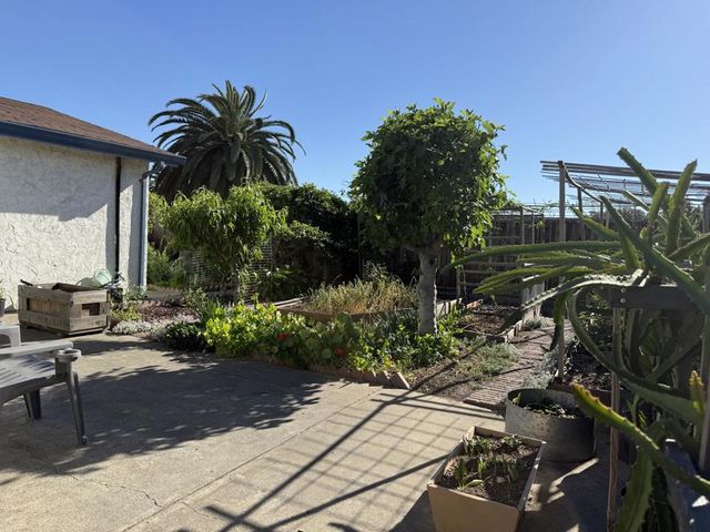 441 Clogston Court, San Jose, CA 95133