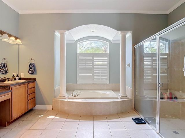 10512 GOOSEBERRY COURT, Trinity, FL 34655