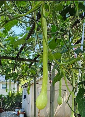 560 Worcester St, Wellesley, MA 02481