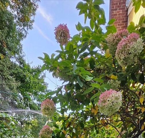 560 Worcester St, Wellesley, MA 02481