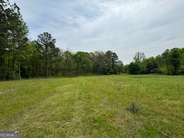2331 Hollonville Road, Brooks, GA 30205