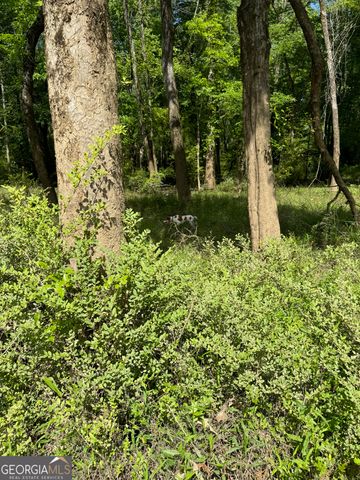 2331 Hollonville Road, Brooks, GA 30205