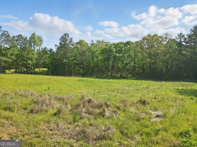 2331 Hollonville Road, Brooks, GA 30205