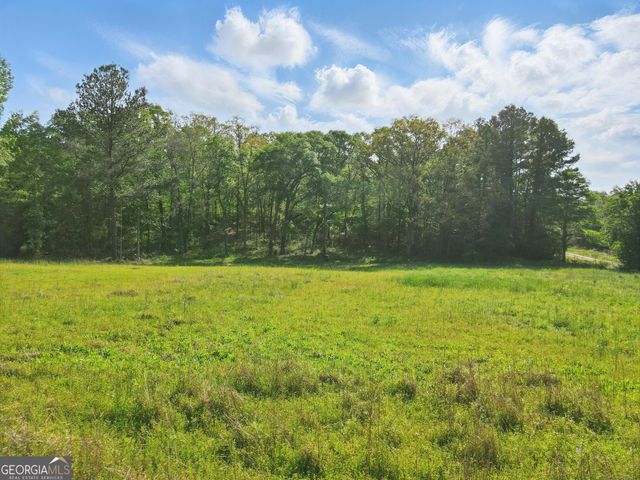 2331 Hollonville Road, Brooks, GA 30205