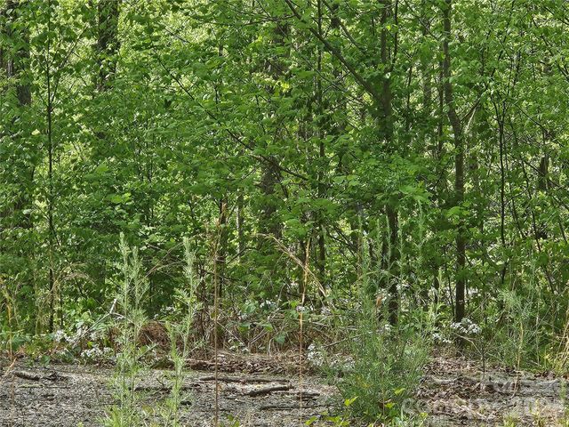 22 Graulich Lane 6, Candler, NC 28715