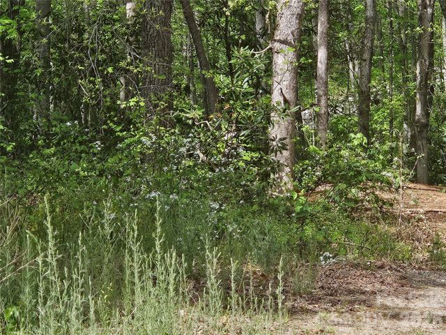 22 Graulich Lane 6, Candler, NC 28715